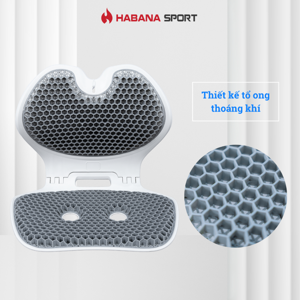 Ghế Ego Công Thái Học Habana Sport Chỉnh Dángồi - Hình Ảnh Thực Tế