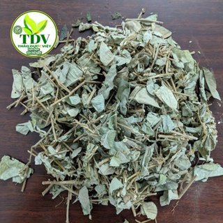 Combo 20 gói túi lọc to x 30g Kim tiền thảo đã sao thơm