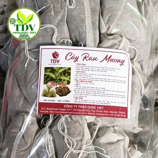 Combo 20 gói túi lọc to x 30g Cây rau mương hổ trợ dạ day, HP