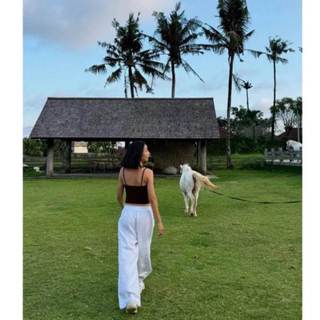 𝗕𝗶𝗻𝗼 - | LY LINEN | Quần Linen ống xuông full chun