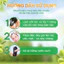 Combo 5 Gói x 6G Dầu Gội ÔLIV Nuôi Dưỡng Tóc Chắc Khỏe Bồng Bềnh/Ngăn Gãy Rụng/Phục Hồi Hư Tổn