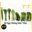 Bộ dụng cụ ấn huyệt cạo gió 7 món