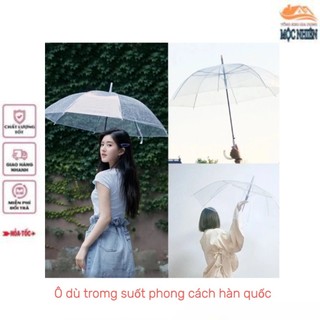 Ô, dù trong suốt phong cách hàn quốc - siêu bền, tiện dụng