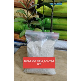 TẤM THƠM XỐP QUÁN CƠM (1KG) TẤM NÀNG THƠM