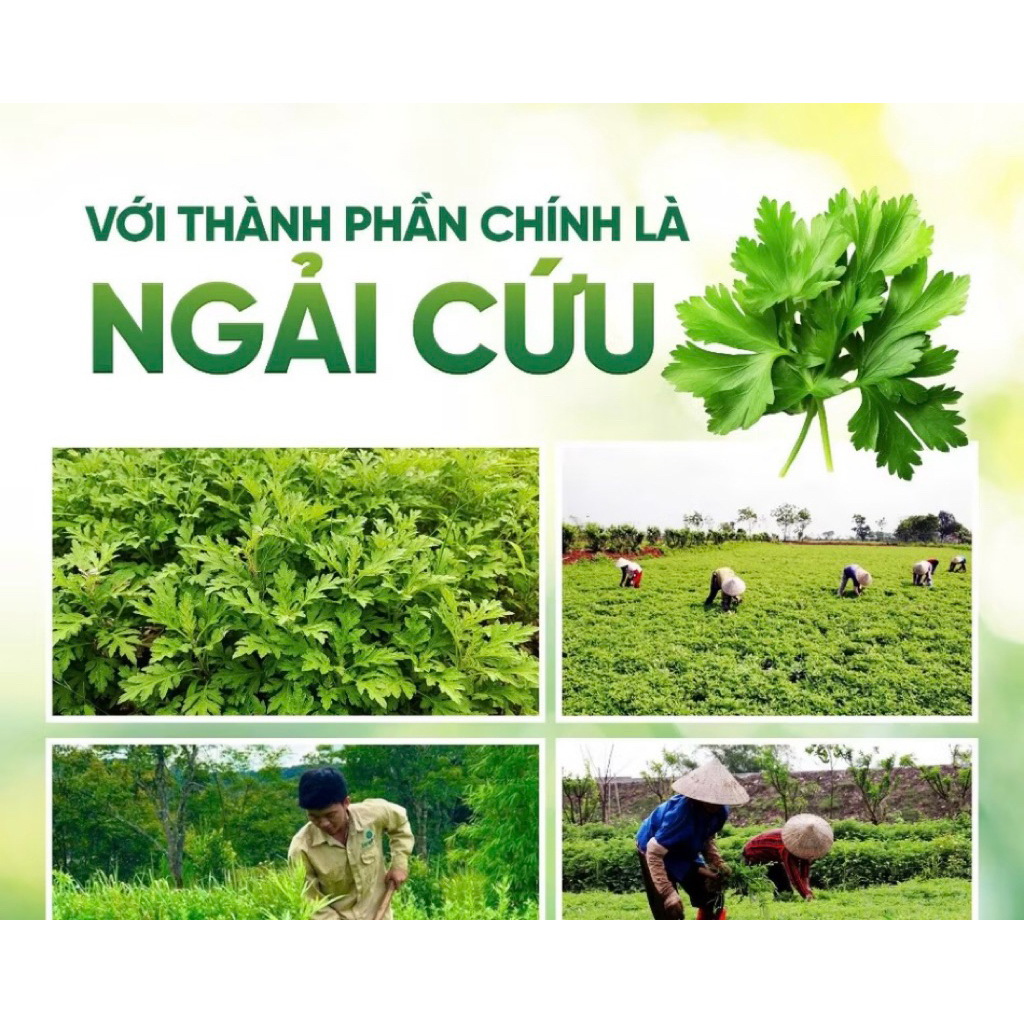 Thảm ngải cứu ( tặng kèm gối ) Anh chị nào lấy sỉ thì ib tin nhắn ạ