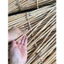 Combo 3 Que Mây Dài 80cm Dẻo Dai, Bền Đẹp Dùng Để Trang Trí