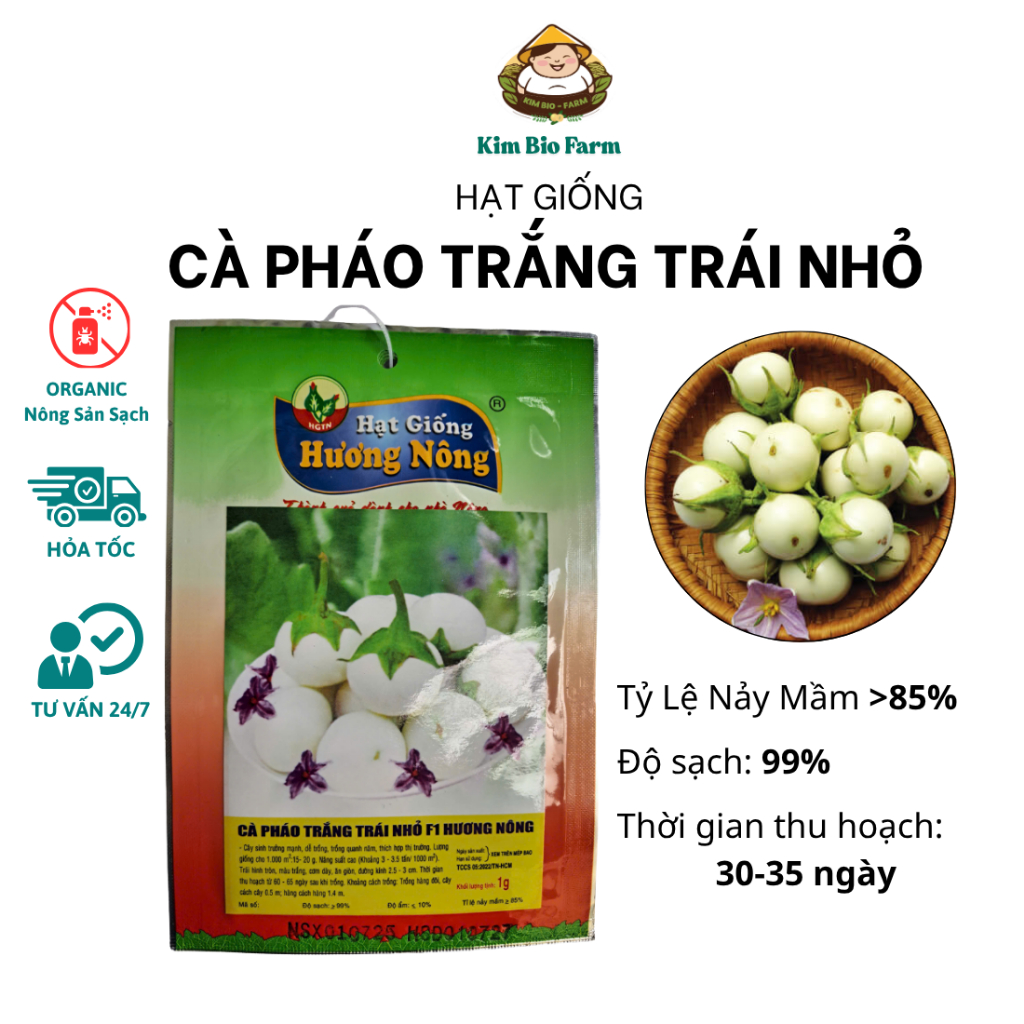 Hạt Giống Cà Pháo Trắng Trái Nhỏ Hương Nông - Tỉ Lệ Nảy Mầm Cao, Phát Triển Nhanh
