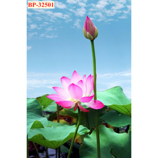 Tranh Lụa Hình Hoa Sen Thanh Khiết (KHỔ DỌC) Phù Hợp Decor Spa, Phòng Thiền Thư Giãn