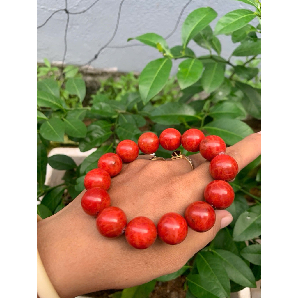 vòng tay 18ly san hô đỏ ( Red coral bracelet )
