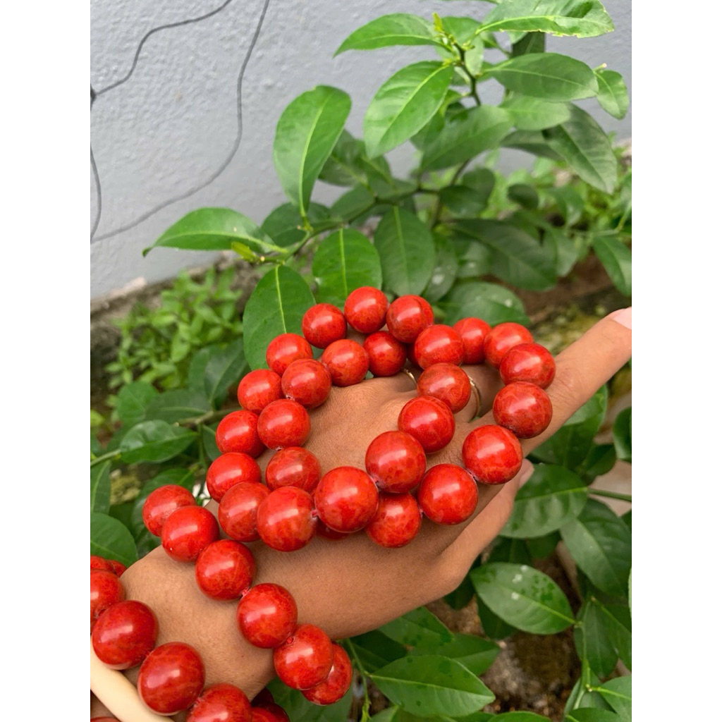 vòng tay 18ly san hô đỏ ( Red coral bracelet )