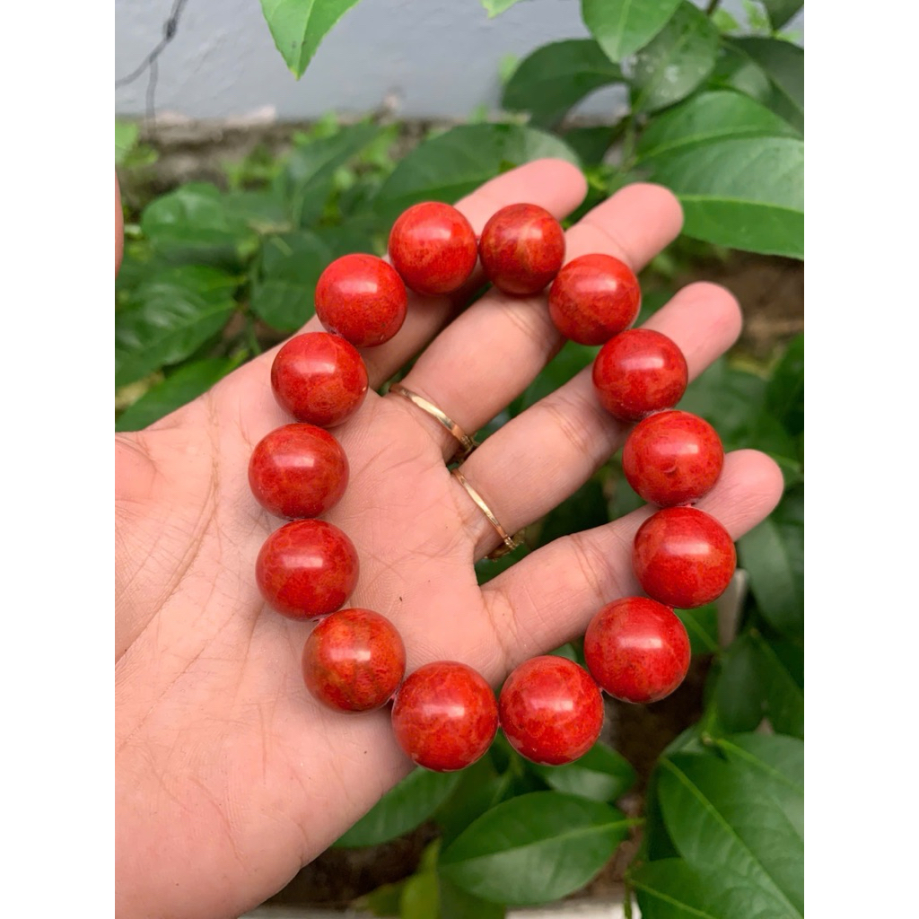 vòng tay 18ly san hô đỏ ( Red coral bracelet )