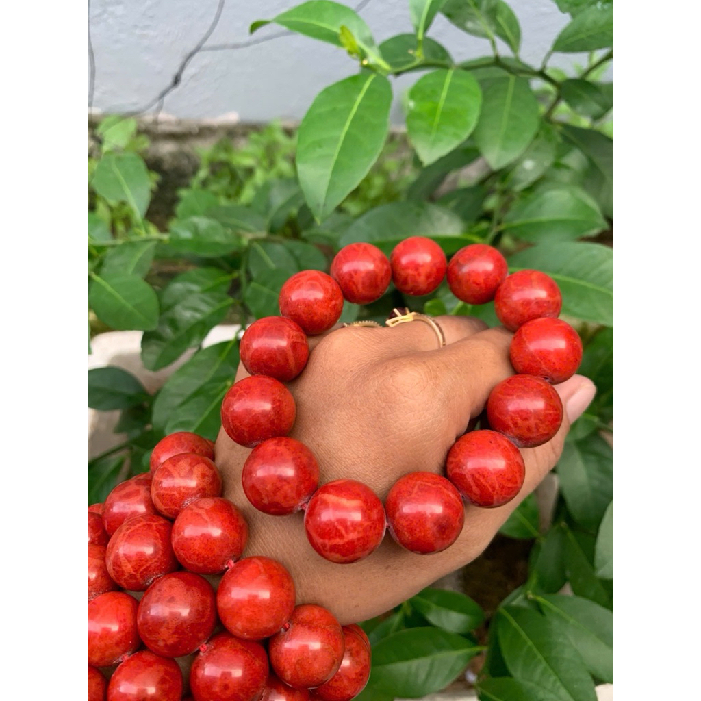 vòng tay 18ly san hô đỏ ( Red coral bracelet )