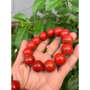 vòng tay 18ly san hô đỏ ( Red coral bracelet )