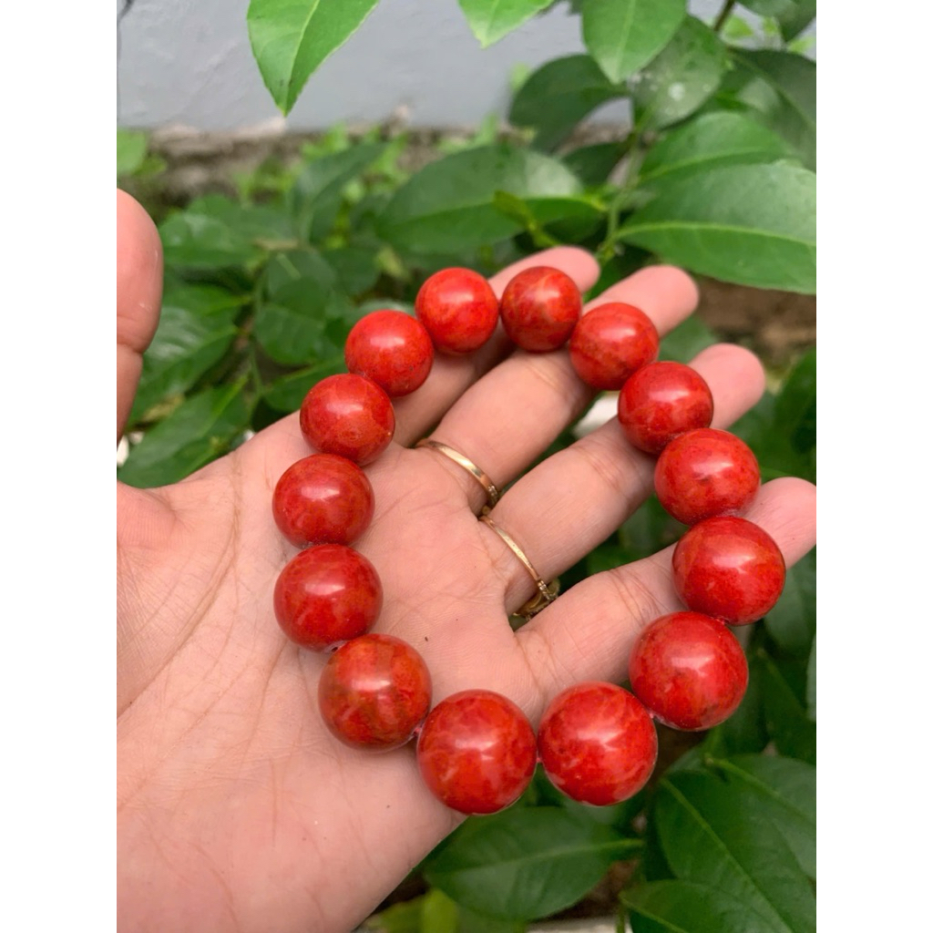 vòng tay 18ly san hô đỏ ( Red coral bracelet )