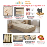Giường pallet gỗ thông Behomes cao 10-20cm đã xử lí ẩm mốc mối mọi [Gỗ mới - Hàng Sơn PU - Chân Hộp Kín - Nan 13cm] — ảnh 3