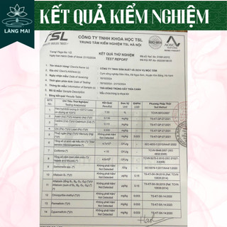 Trà Đông Trùng Dây Thìa Canh - Làng Mai - 7 Vị Thảo Dược Giúp Ổn Định Đường Huyết, An Toàn Lành Tính