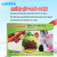 Đai Chườm Nóng Thảo Dược Phytobelt – Miếng Lót Hỗ Trợ Giảm Đau Lưng, Đau Bụng Kinh, Mỏi Cổ Vai Gáy