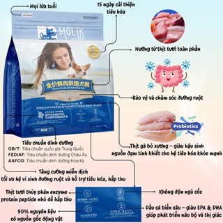Thức ăn cho chó Molik (12kg ) MOLIK chăm sóc đường ruột,hệ tiêu hóa khỏe , hạt mix topping thịt sấy