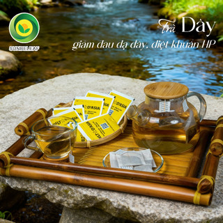 [THƯỢNG HẠNG] Chè Dây Cao Bằng Sunbeleaf - Giảm Đau Dạ Dày, Viêm Dạ Dày