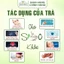 Trà Tân Cương Ướp Nhụy Sen Tây Hồ Trà Sạch Tân Cương Xanh
