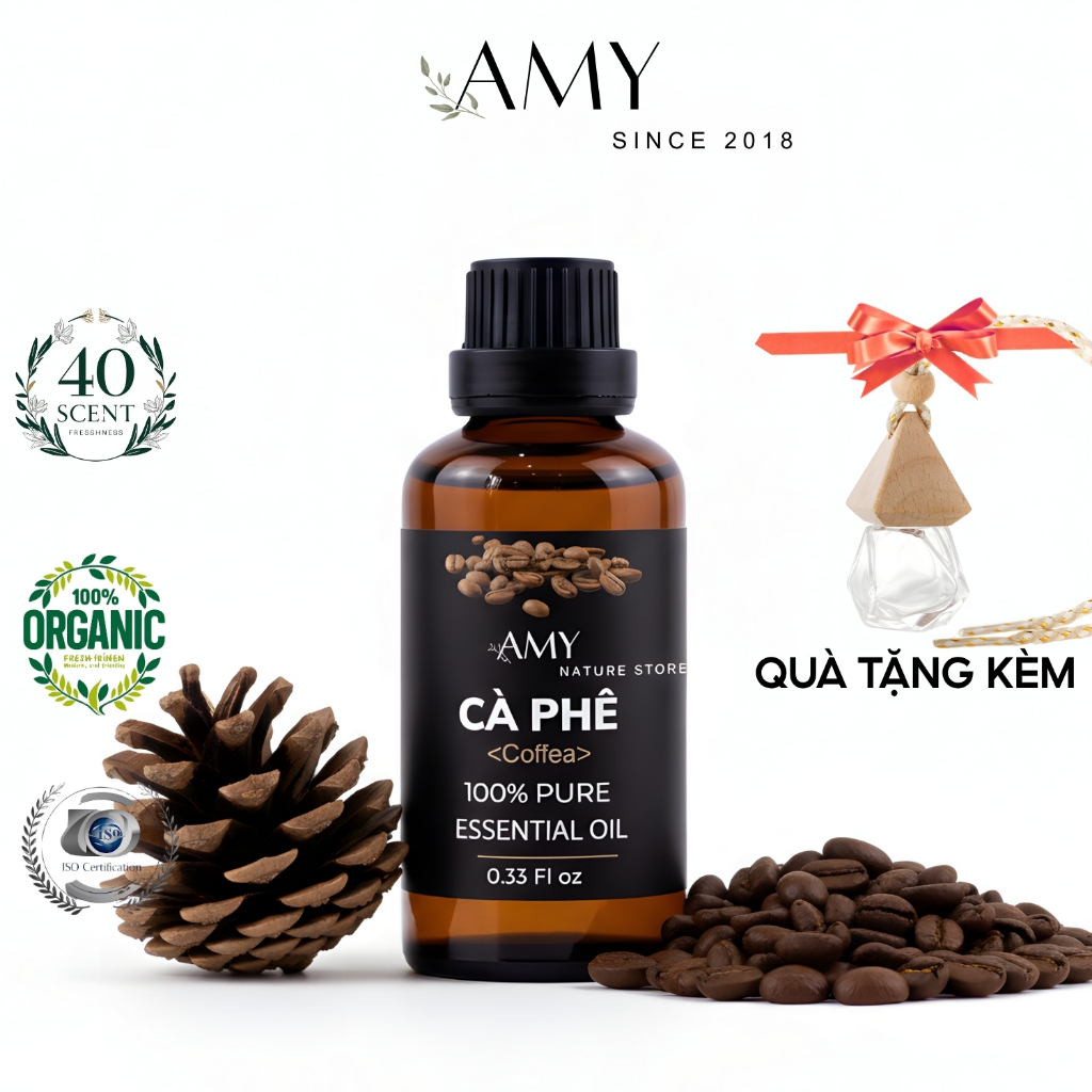 Tinh Dầu Cà Phê Thiênhiênguyên Chất 100 Ml Xông Phòng Treo Xe Đuổi Muỗi Khử Mùi Làm Nến Thơm - Hình ảnh thực tế