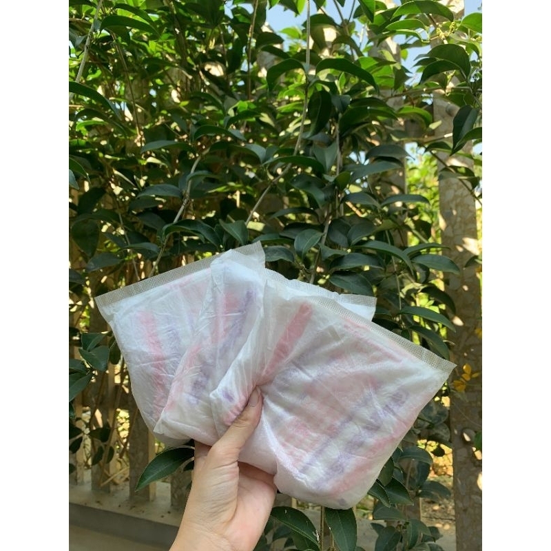 [Che Tên SP] Băng Vệ Sinh Quần Enjoy Girl&Mom, Thấm Hút Tốt Chống Tràn Hiệu Qủa, Đủ Size 30-80Kg