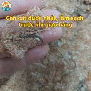 Tép Khô Đặc Sản Hải Thịnh Nam Định – Hải Sản Khô Ngon Tự Nhiên Không Chất Bảo Quản