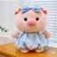Gấu Bông Heo Lợn Mặc Váy Xanh Hồng Đeo Nơ Dễ Thương Làm Quà Tặng Sinh Nhât Cho Bạn Gái, Bé Gái,Bobesu