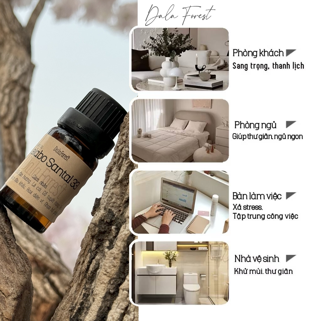 Lọ Tinh Dầu Tiêu Chuẩn - tinh dầu phòng Dala Forest Santa 33