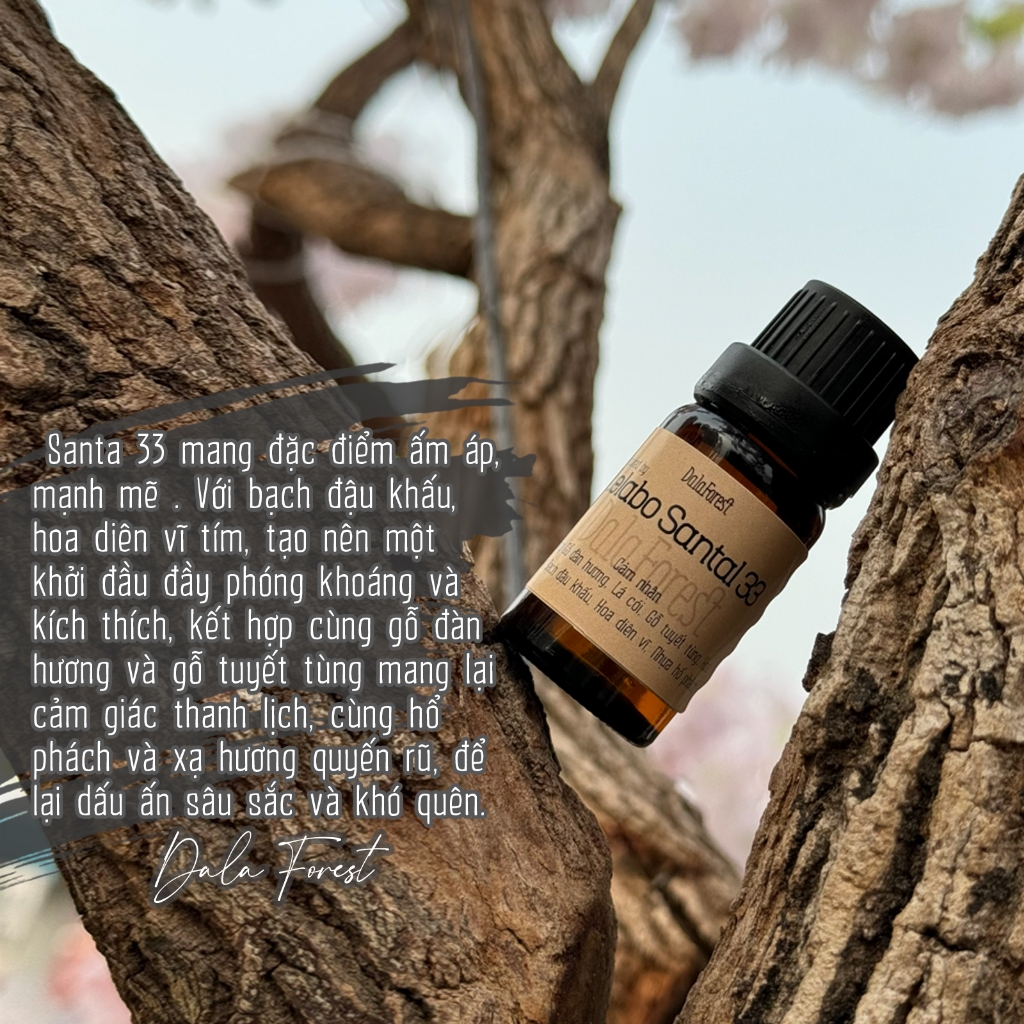 Sử dụng Lọ Tinh Dầu trong đời sống