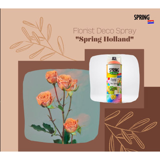 Sơn Xịt Tạo Màu Cho Hoa Tươi, Hoa Khô SPRING Pro Florist 400ml – Nhập Khẩu Chính Hãng Hà Lan