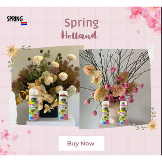 Sơn Xịt Tạo Màu Cho Hoa Tươi, Hoa Khô SPRING Pro Florist 400ml – Nhập Khẩu Chính Hãng Hà Lan