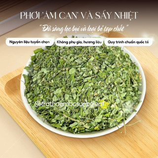 Trà Chùm Ngây Sunbeleaf - Phục Hồi Cơ Thể Sau Bệnh, Phòng Bệnh Alzheimer và Parkinson - Hộp 25 Gói