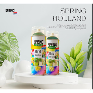 Sơn Xịt Tạo Màu Cho Hoa Tươi, Hoa Khô SPRING Pro Florist 400ml – Nhập Khẩu Chính Hãng Hà Lan