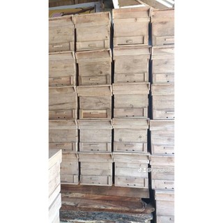 Thùng nuôi ong Nội gổ sầu riêng KT 42x27x28 cầu chưa căng dây