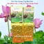 Trà Tân Cương Ướp Nhụy Sen Tây Hồ Trà Sạch Tân Cương Xanh