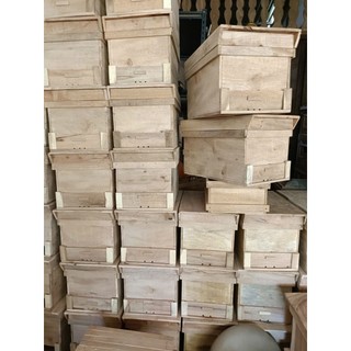 Thùng nuôi ong Nội gổ sầu riêng KT 42x27x28 cầu chưa căng dây