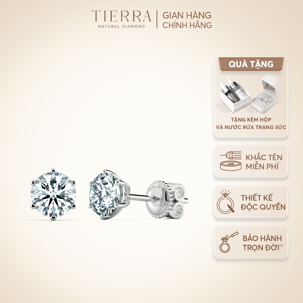 [CHAT TRƯỚC KHI ĐẶT] Bông Tai Tierra Stud BBT1104, Vàng 14K, Đính Đá CZ, Thiết Kế Nhẹ Nhàng Đơn Giản