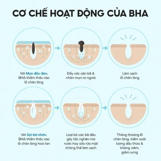 Tinh Chất Hỗ Trợ Giảm Mụn & Kiểm Soát Bã Nhờn BHA + Pore Zero Serum BETHESKIN 30ml