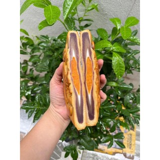 Bánh Mochi Khoai Môn Trứng Muối Chà Bông 500g - Bánh Trung Thu Ít Ngọt Vỏ Mỏng Nhân Dày