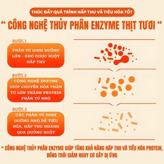 Thức Ăn Hạt Cho Mèo 6kg Mix 8 Topping Sữa Dê Vị Thịt Cá Phù Hợp Mèo Trưởng Thành - MOLIK
