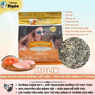Hạt Cho Mèo MOLIK 1.5kg Mix 8 Loại Topping Sữa Dê Hỗ Trợ Tiêu Hóa Hạn Chế Búi Lông Mượt Lông
