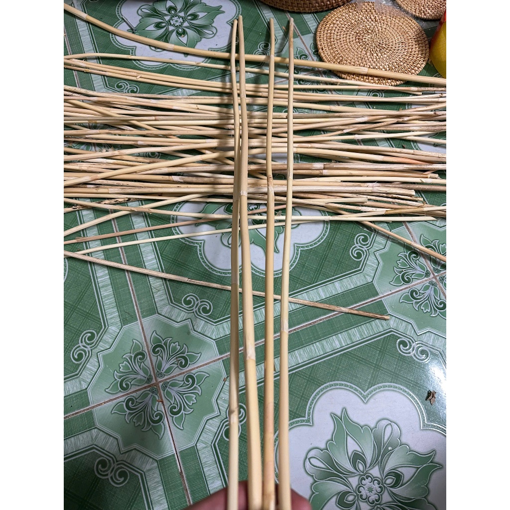 Combo 2 Cây Mây Dẻo Dai, Trang Trí Vườn Dàn Cây Leo