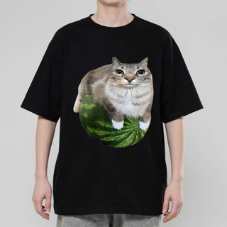 Áo Thun Meme Hài Hước Mèo Ôm Dưa Hấu, Áo Thun Oversize Hài hước, Premium Cotton 4 Chiều Nam Nữ