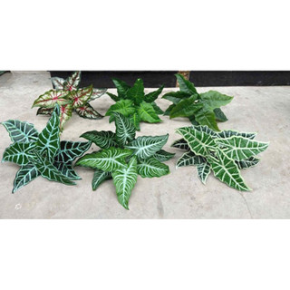 Cây Lá Giả Decor Cây To Trang Trí Cụm 5 Nhánh Bền Đẹp Mọi Không Gian Xanh Phong Cách Hiện Đại