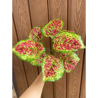 Cây Lá Giả Decor Cây To Trang Trí Cụm 5 Nhánh Bền Đẹp Mọi Không Gian Xanh Phong Cách Hiện Đại