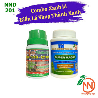 Cặp Đôi Biến Lá Vàng Thành Xanh - Super Magie, Master Vip