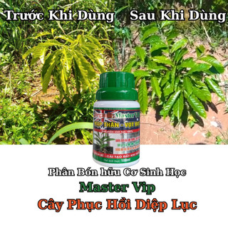 Cặp Đôi Biến Lá Vàng Thành Xanh - Super Magie, Master Vip