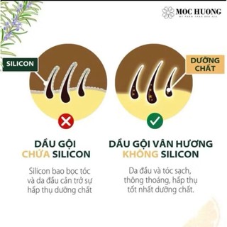 Dầu gội Vân Hương Mộc Hương - 250ml - Phục hồi, giảm căng thẳng và thư giãn từ thiên nhiên