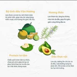 Dầu gội Vân Hương Mộc Hương - 250ml - Phục hồi, giảm căng thẳng và thư giãn từ thiên nhiên